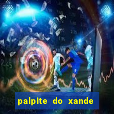 palpite do xande de hoje